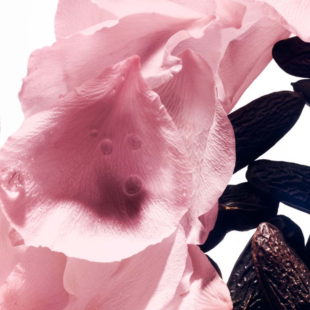 LES ETERNELS ROSE DE SOIE EAU DE TOILETTE